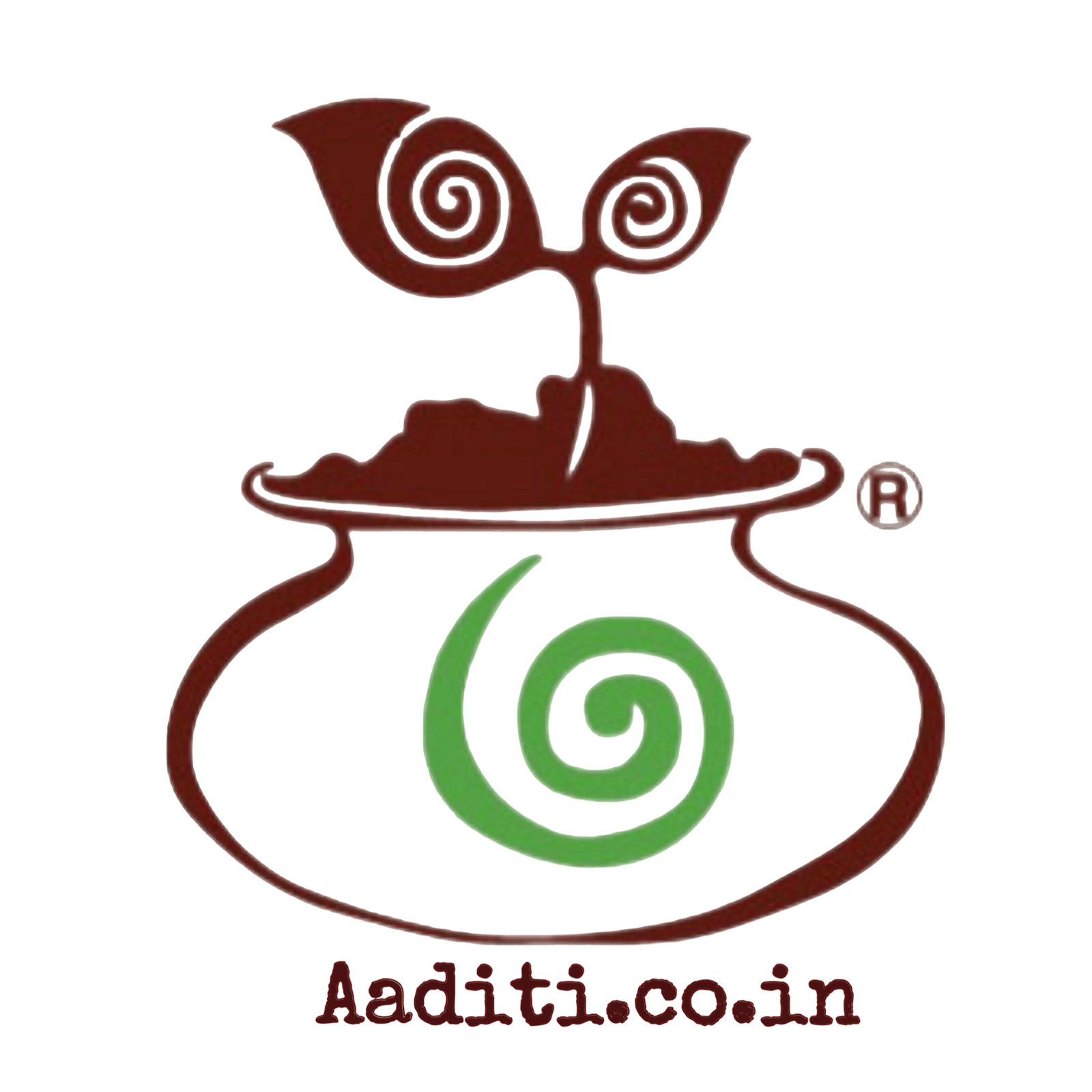 Aaditi Stonesoup